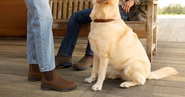 Cooper Chelsea Boots