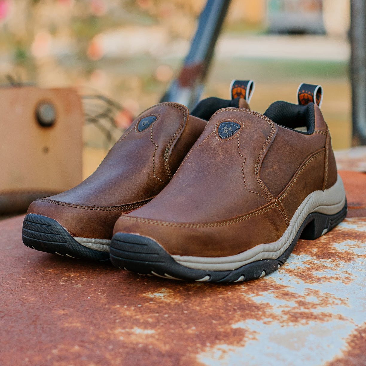Ariat Men's Ralley Shoe - Distressed Brown - Lifestyle
