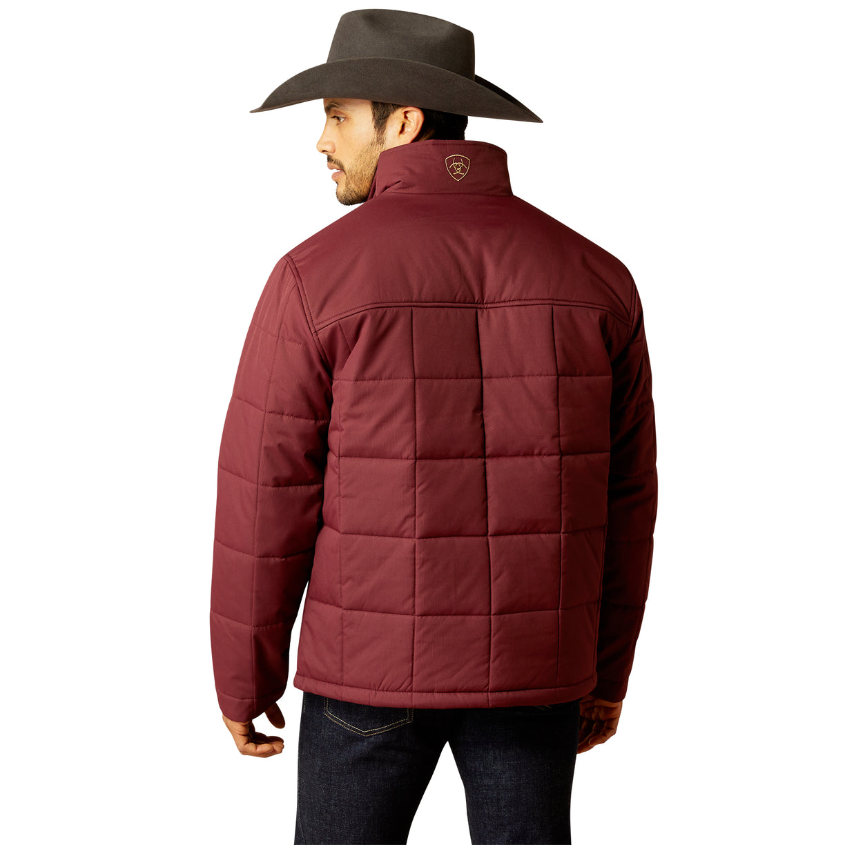 Ariat Men's Crius Insulated Jacket in Dark Red Back