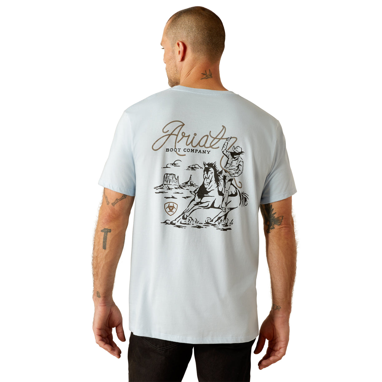 Ariat Men's Cactus Roper T-Shirt in Sky Blue Colour Back