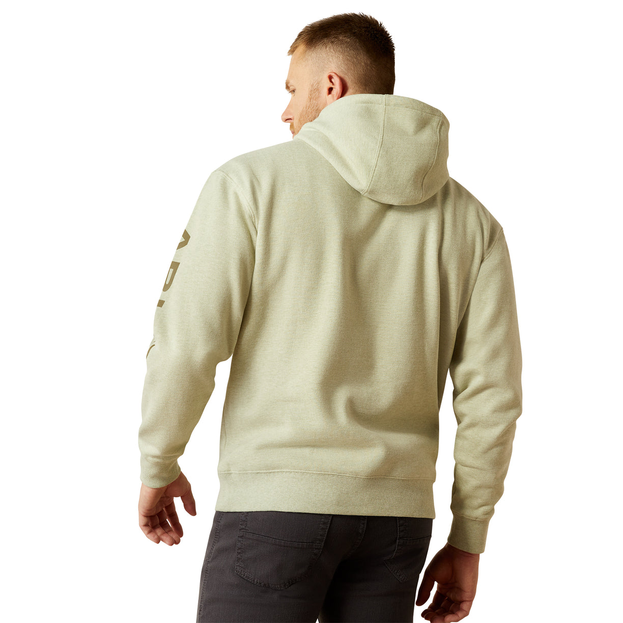 Ariat Men's Logo Hoodie in Sage Heather Colour Back