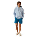 Ariat Men's Logo Hoodie in Light Blue Heather Colour Full