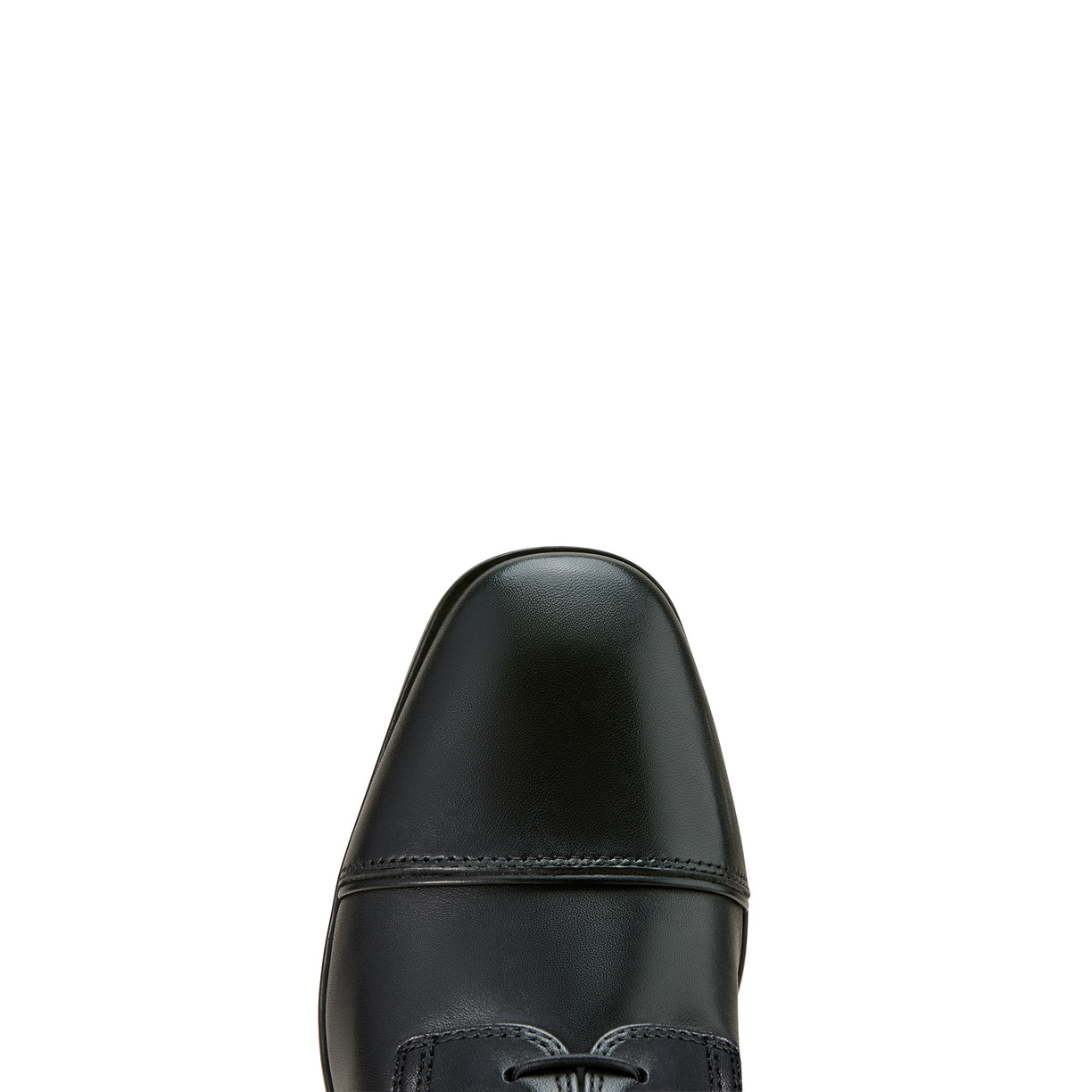 Palisade Lace Tall Riding Boot