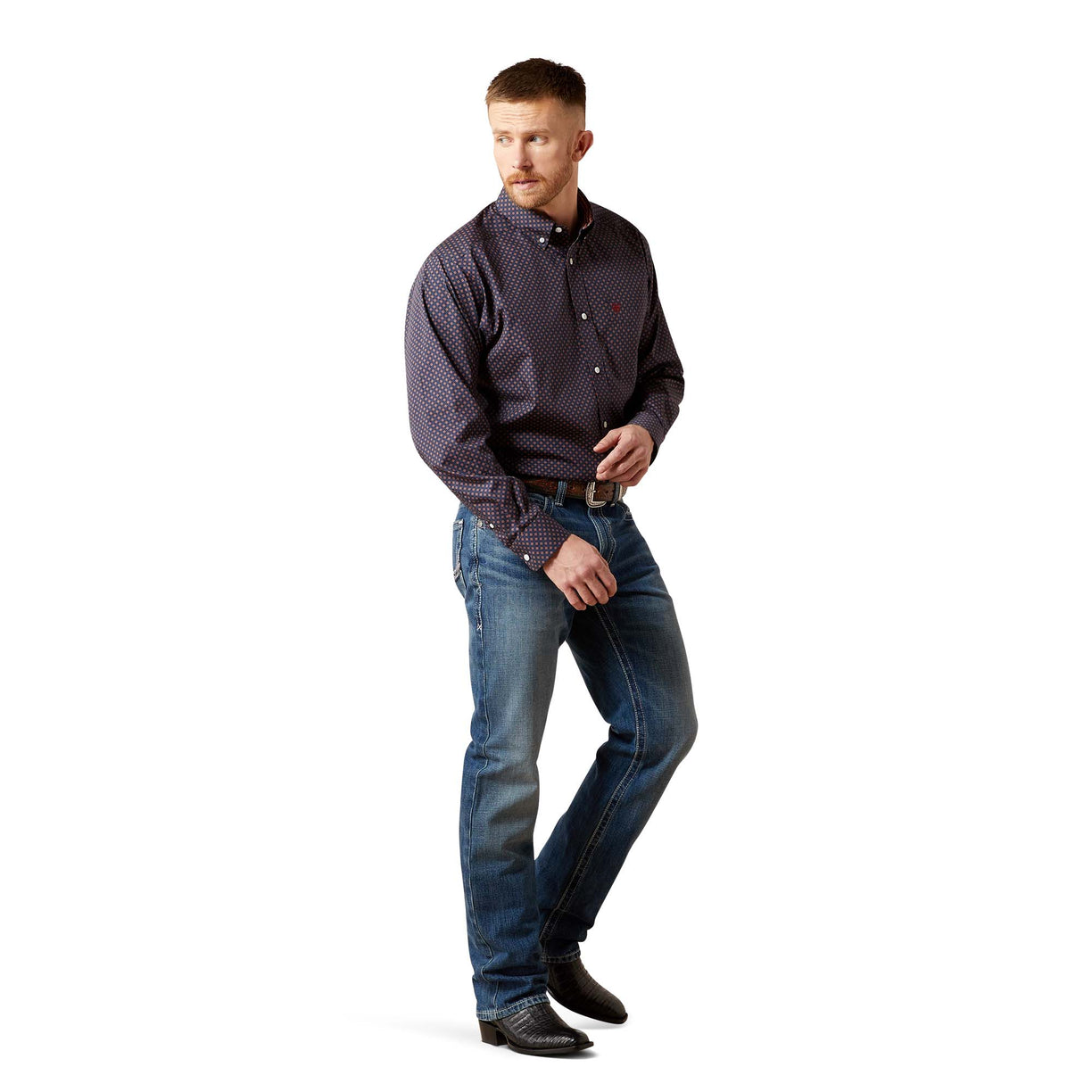 Wrinkle Free Briggs Classic Fit Shirt