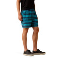 Person wearing blue striped shorts on a white background