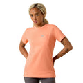 Peach-orange crewneck t-shirt with a chest pocket, front view