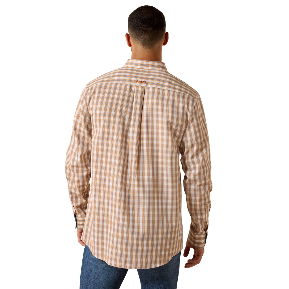 Wrinkle Free Ayden Classic Fit Shirt