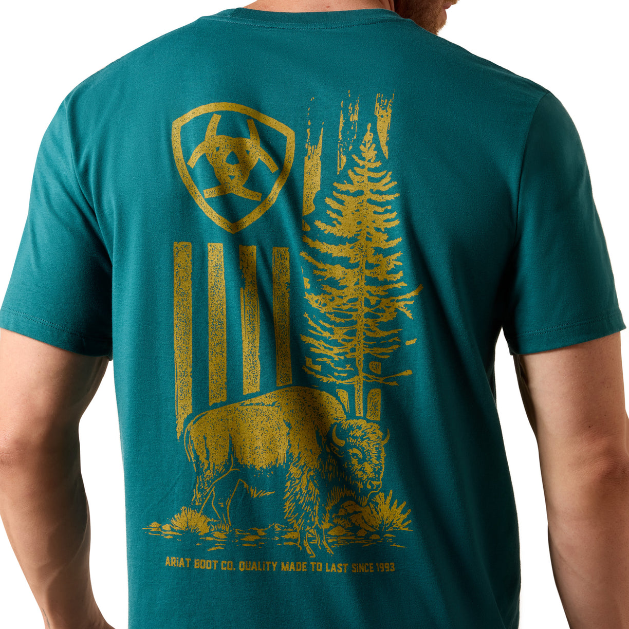 Teal t-shirt with yellow graphic design on the back, featuring a bear and trees.