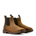 Pair of brown Chelsea boots on a white background
