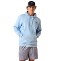 Person wearing a light blue hoodie and gray shorts on a white background
