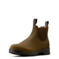 Brown Chelsea boot slip on a white background