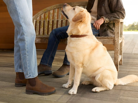 Couple wearing Ariat Cooper Chelsea style boots with their pet dog on the veranda. 