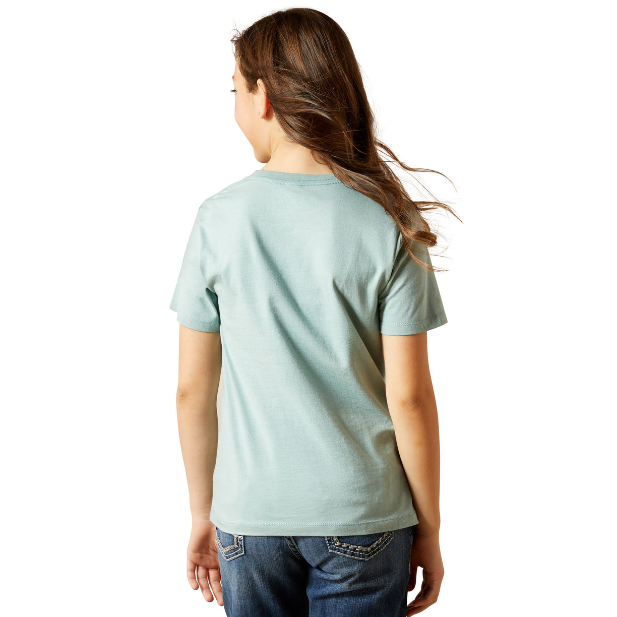 Ariat SW Brand Lock Up T-Shirt