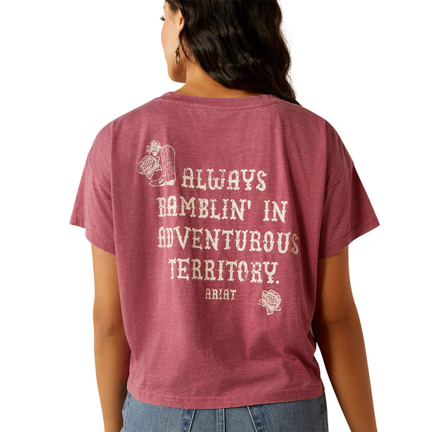 Maroon t-shirt with text and graphics on the back, worn by a person.