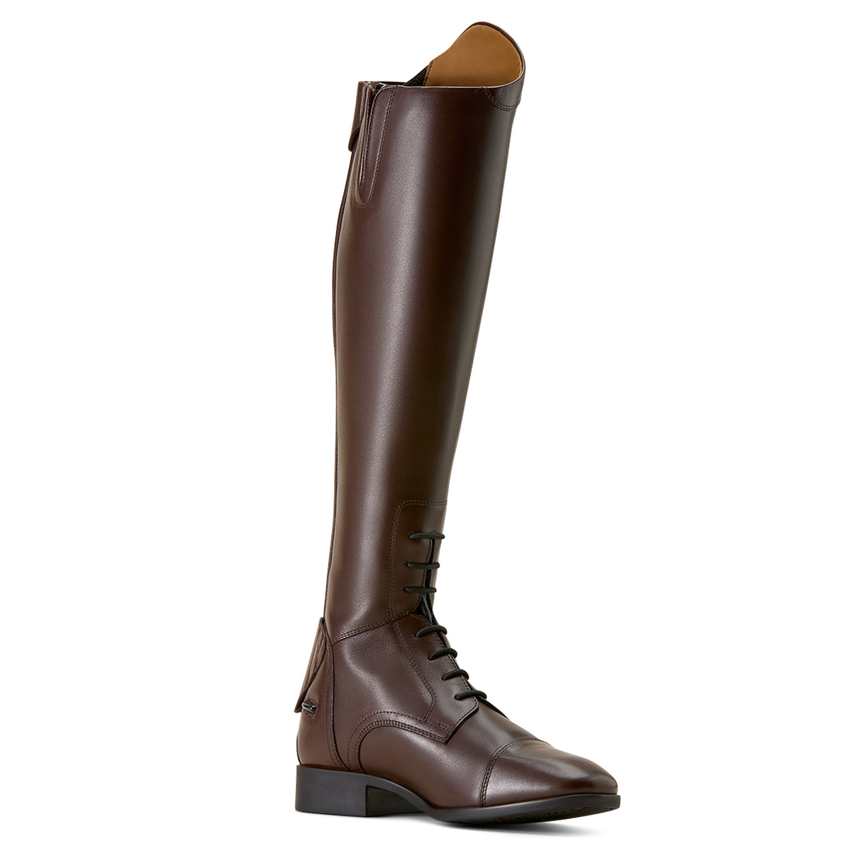 Brown riding boot on a beige background