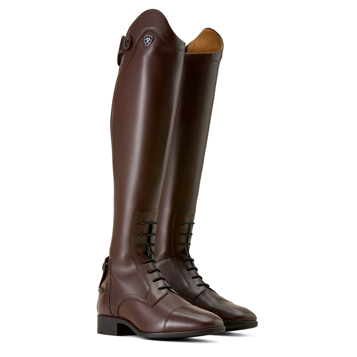 Pair of brown riding boots on a white background
