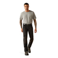 Rebar M8 Modern DuraStretch Cargo Pant